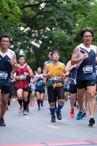 BIB: 7465, 5601, 5580
                            <button type="button" onclick="openModal(4728083)" class="btn btn-primary btn-sm float-right btn-popup" data-toggle="modal" data-target=".modal-high-quality">
                        <i class="fas fa-shopping-cart"></i> Add to Cart
                    </button>
                                            <button type="button" onclick="isThisMe(4728083, true)" class="btn btn-success btn-sm float-right btn-popup btn-isme hidden" data-toggle="tooltip" data-placement="bottom" title="นี่คือรูปของคุณใช่ไหม คลิกที่นี่เพื่อเอาเข้าอัลบั้ม">
                        <i class="fas fa-plus"></i> Add to album
                    </button>
                    <button type="button" onclick="isThisMe(4728083, false)" class="btn btn-warning btn-sm float-right btn-popup btn-isnotme hidden">
                        <i class="fas fa-ban"></i> Remove from album
                    </button>